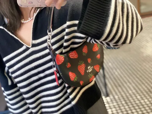 Coach Payton Hobo With Wild Strawberry Print CH330 - Image 6