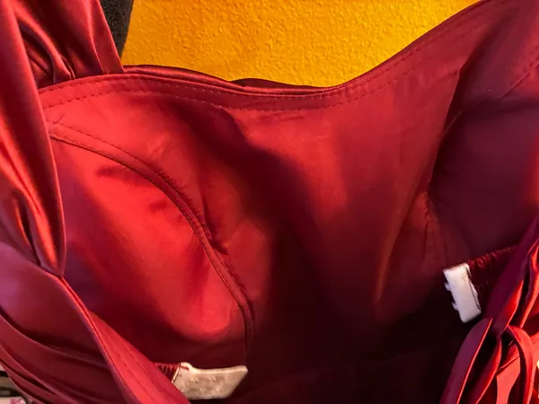 Burgundy corset Amazon dress - Image 3