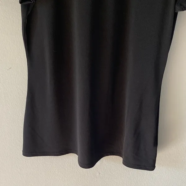 Express Black Top with Sheer Sleeves - Image 2