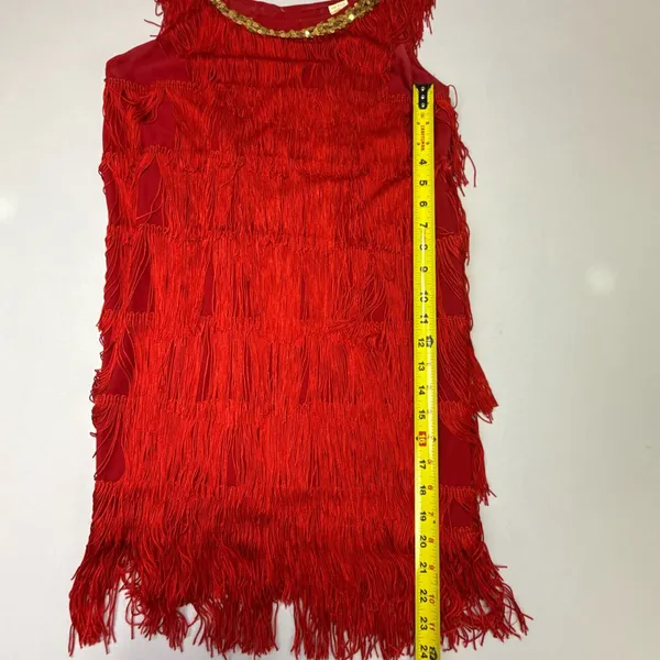 Flapper 1920s Style Red Tiered Fringe Costume Dress - Image 6