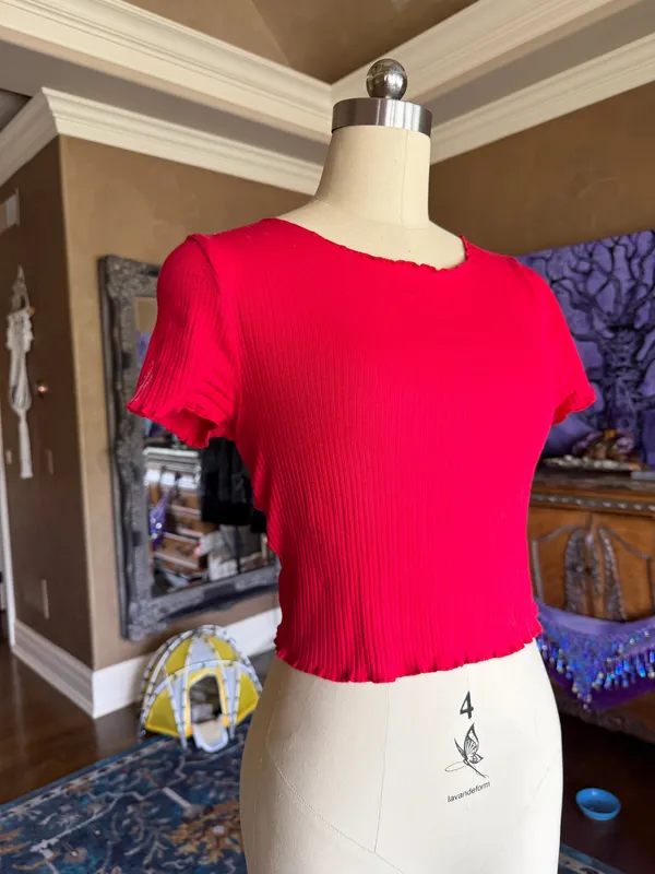 Red Top - Image 3