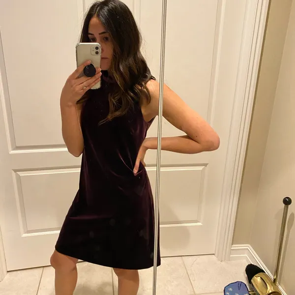 Ann Taylor Plum Velvet Dress - Image 7