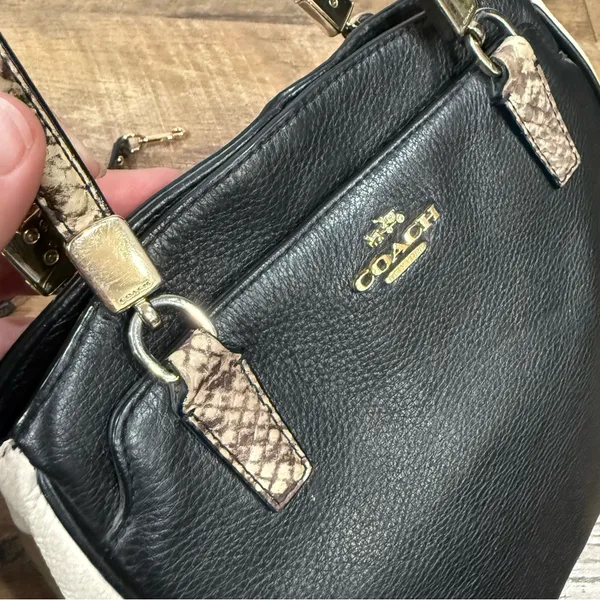 Coach Minetta Snakeskin-Patterned Black and Cream Crossbody Bag - Image 5