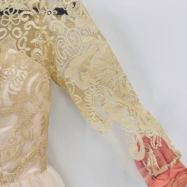 Sheer Gold Lace Overlay Formal Dress Sweetheart Neckline Victorian Regency Sz 2 - Image 7