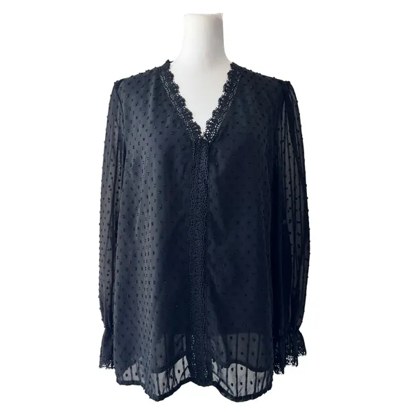 Black Semi-Sheer Swiss Dot V-Neck Relaxed Fit Long Sleeve Blouse - Image 2