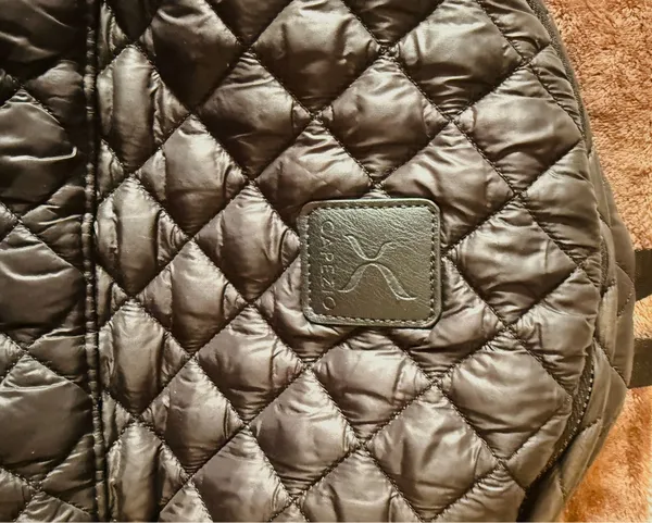 Capezio backpack  - Image 3