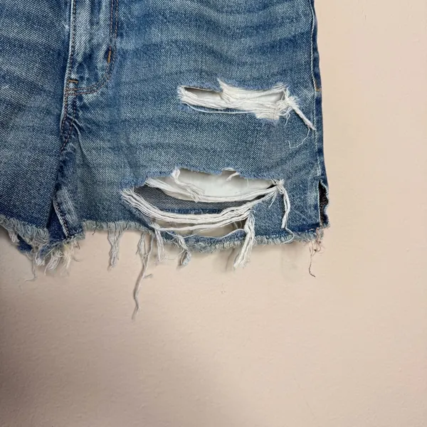 American Eagle Distressed Mom Shorts - Image 8