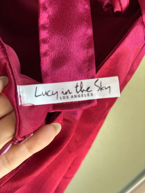 Lucy in the Sky Burgundy Dress Mini - Image 5