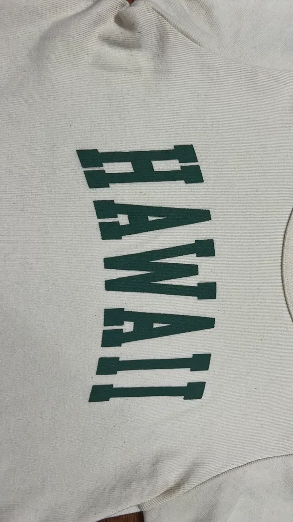 Brandy Melville John Galt Hawaii Baby Tee - Image 4