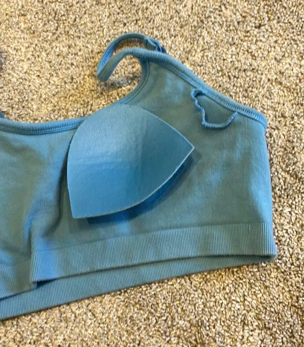 Aerie Blue Bra Top - Image 3