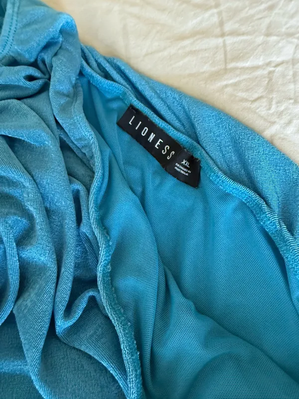 Aquamarine Lioness Dress - Image 3