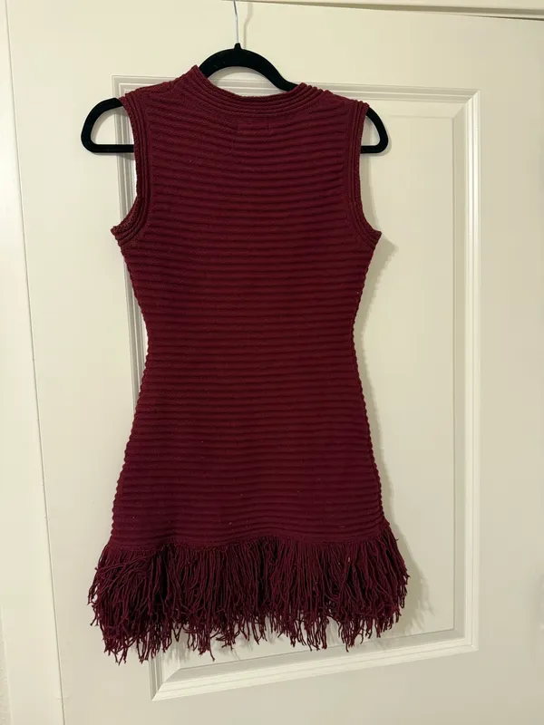 Sky to Moon Dress Red Fringe Mini Dress - Image 3