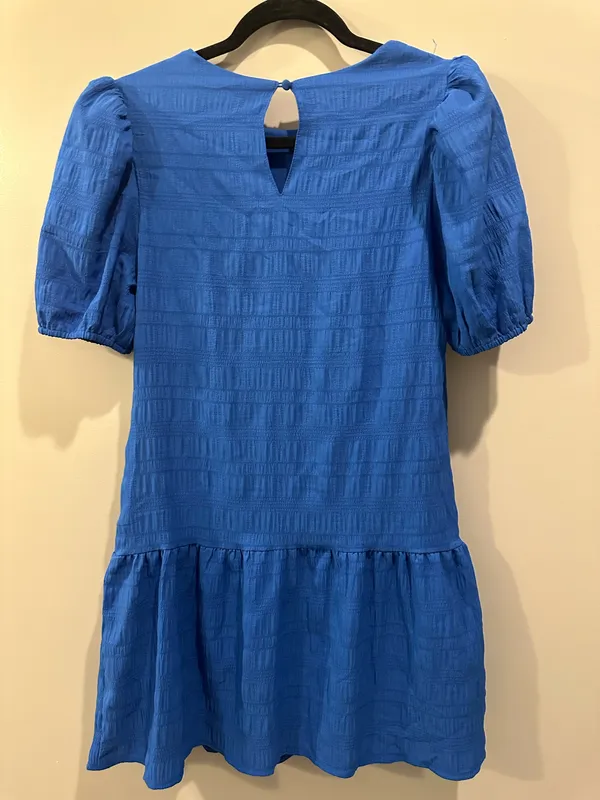 TCEC Balloon Sleeve Textured Dress - Image 3
