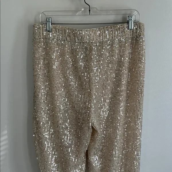 Loft Sequin Joggers Champagne - Image 7