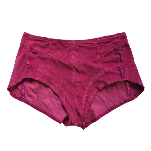 We The Free Free People Magenta Corduroy High Waisted Hot Shorts Pink Small - Image 4