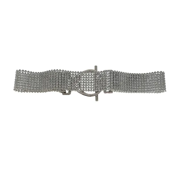 Sparkly Crystal Rhinestone Mesh Belt Silver‎ Wide Waist Statement Y2K Glam - Image 4