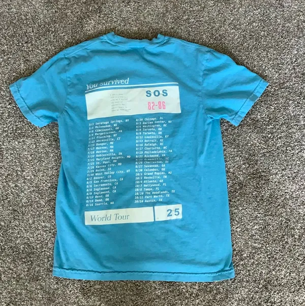 Comfort Colors Lumineers Light Blue 2025 Concert T-Shirt - Image 2