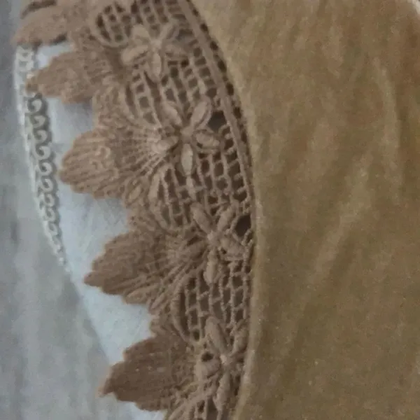 Zara Tan Velvet-like Lace Arm Trim Tank Top - Image 3