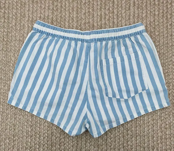 Aerie Blue Striped Shorts - Image 3