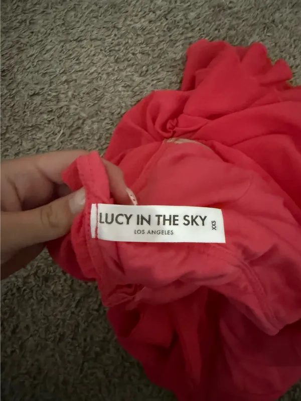 Lucy in the Sky Mini Dress Salmon - Image 3