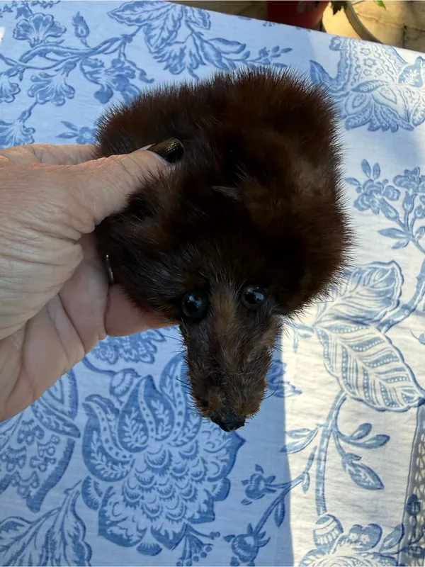 Vintage Full Body Mink Fur Stole Wrap Scarf Real Brown Fur 21” w/ Face Tail Legs - Image 6
