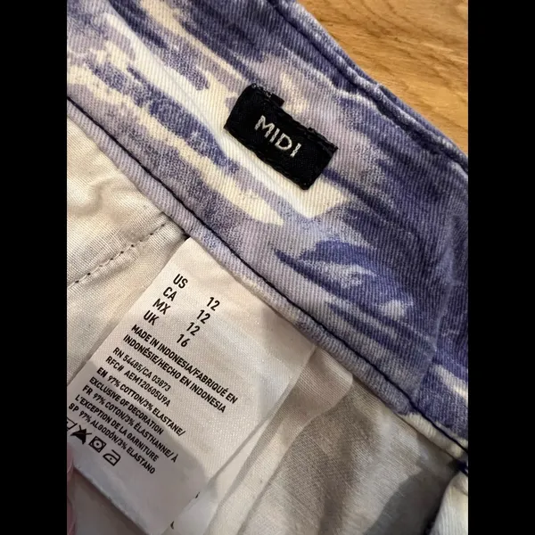 American Eagle Shorts - Image 4