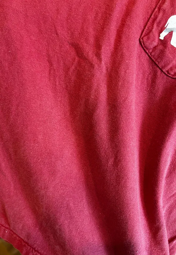 Comfort Colors Bama Tee - Image 3