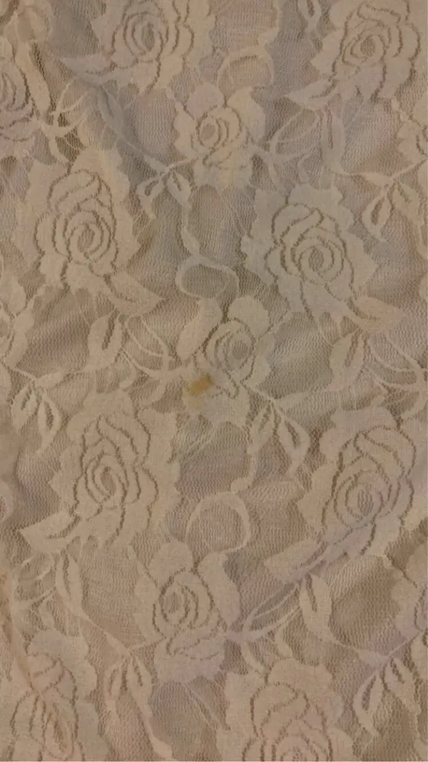 Wall Flower Lace Dress - Image 5