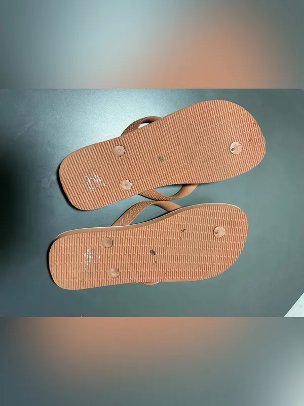 Farm Rio HAVAIANAS Flip-Flops - Image 6