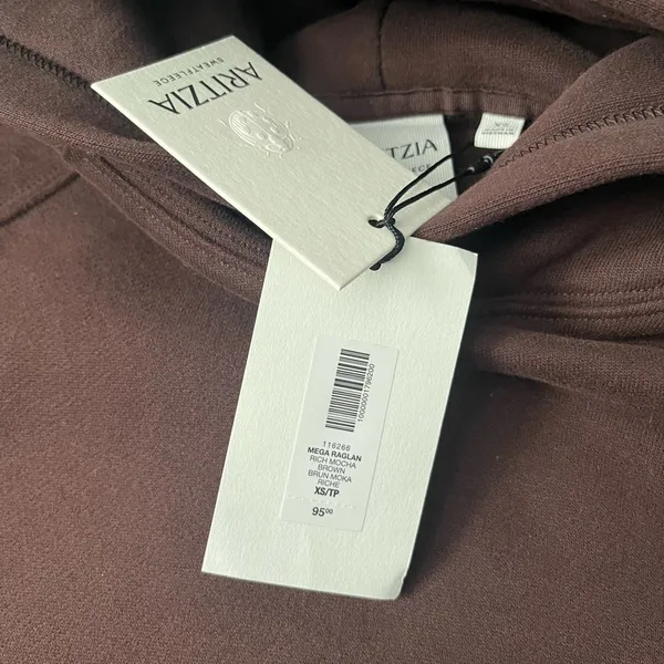 Aritzia New Cozy Sweatfleece Mega Raglan Hoodie - Image 8