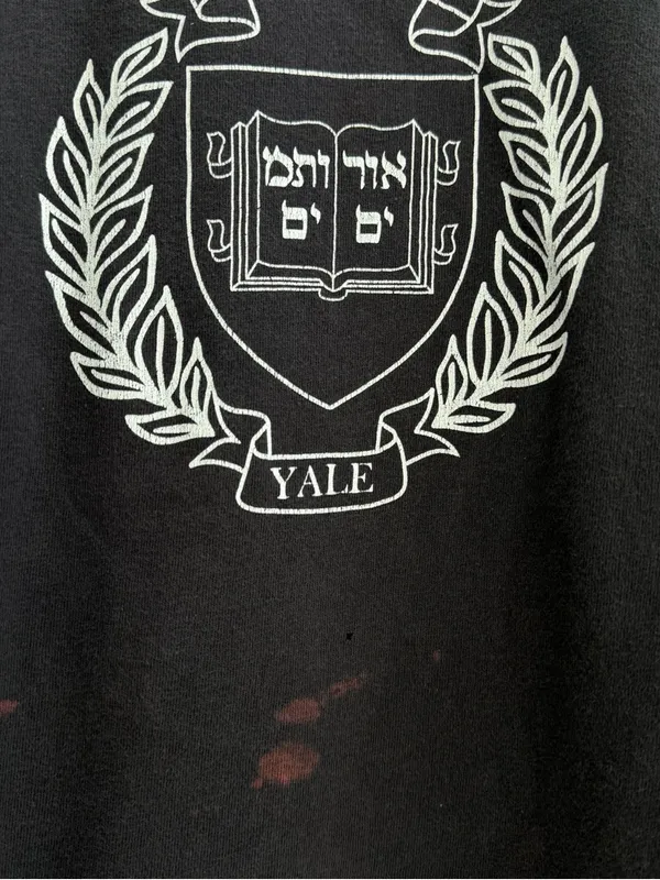 Hennes & Mauritz Yale Off the Shoulder Tee Distressed College Shirt Grunge - Image 4