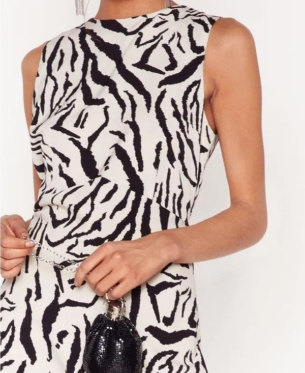Nasty Gal Printed Zebra Maxi Dress 🦓 - Image 3