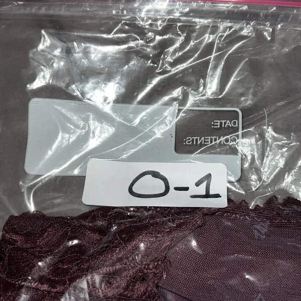 Intimately‎ Free People Plum Jam Everyday Lace Bodysuit Size Small Sheer New $58 - Image 10