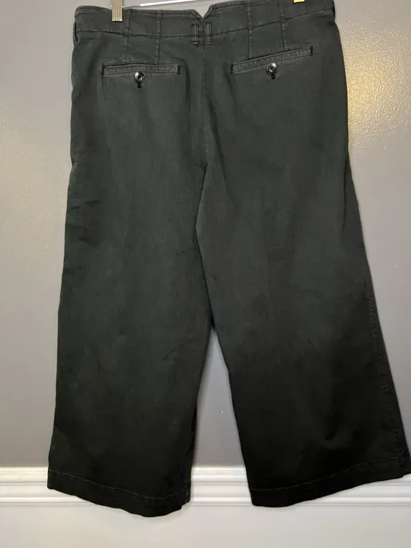 Maeve Anthropologie Pants Womens 12P Gray Wide Leg Crop Chino Pleated Twill - Image 6