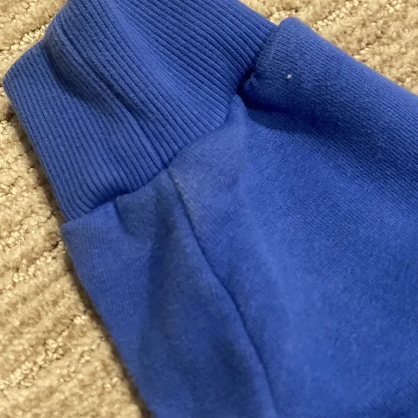 pangaia hoodie Blue - Image 3