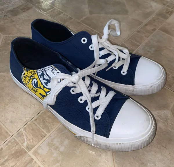 Converse Michigan - Image 2