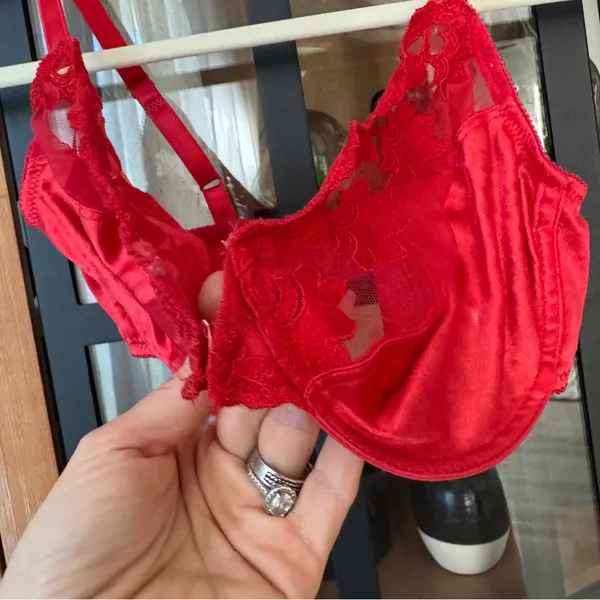 Vintage Dior silk lace bra wiring sheer mesh floral red sexy claspfront lingerie - Image 6