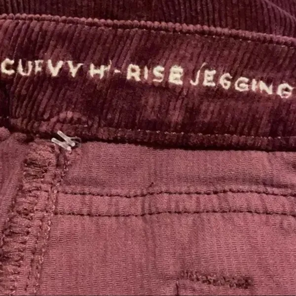 NWOT American Eagle High Rise Jegging Corduroy Skinny Pants Button Fly - Image 4