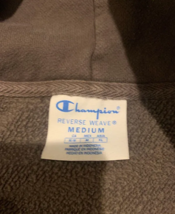 Urban Outfitters Champion Sweatshirt - Image 2