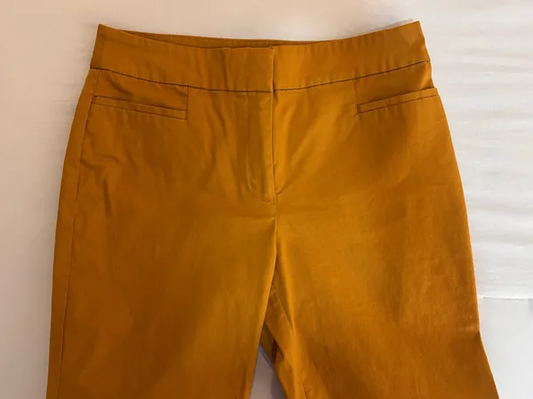Ann Taylor Pants - Image 3