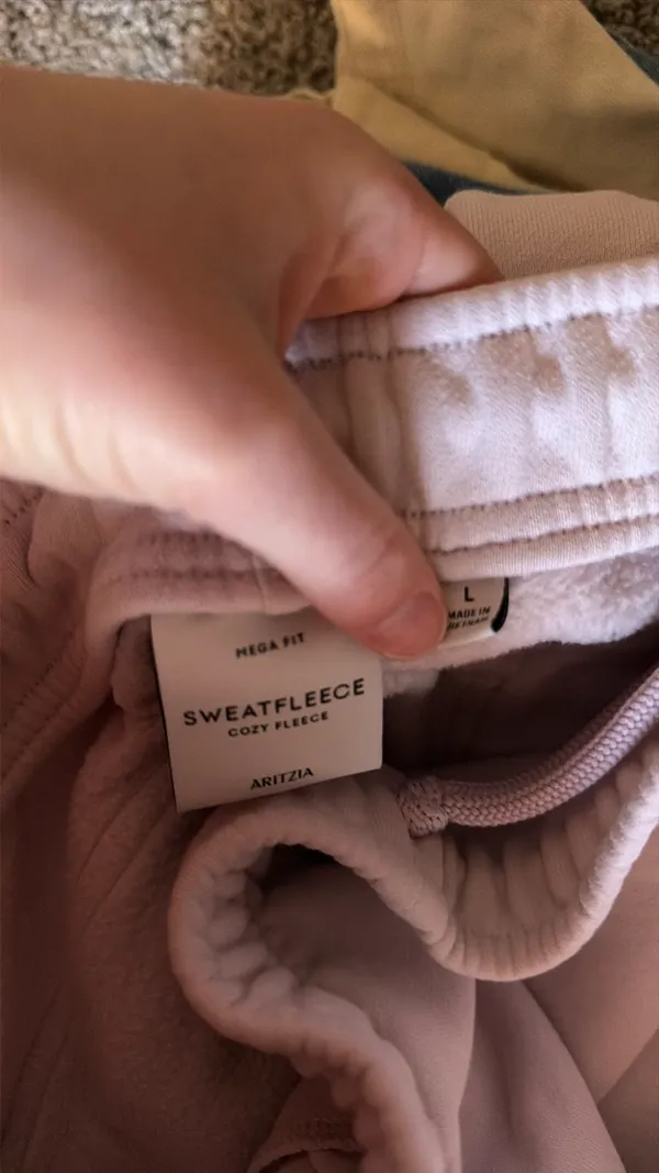 Cargo Aritzia Sweatpants - Image 3