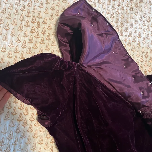 Women's Velvet Dress Jordan Gothic Evening Long Maxi 90s Whimsigoth Embroidered - Image 6