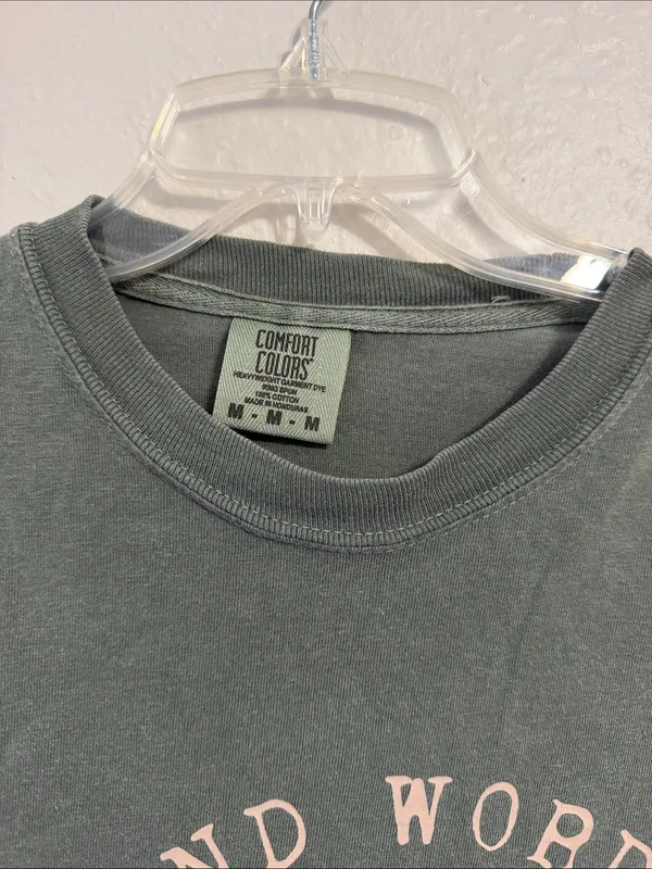 TikTok viral shirt Kind Words are like Honey comfort colors - Image 2