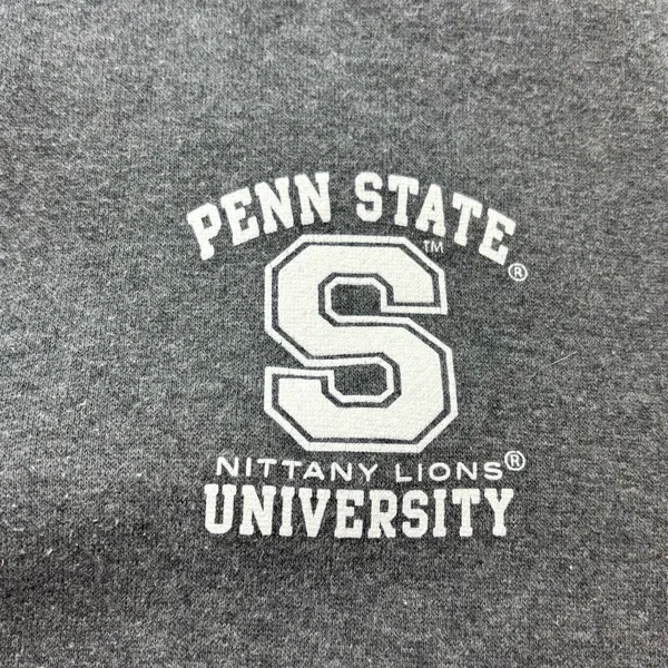 J. America Penn State Vintage NITTANY‎ LIONS University Hoodie Sweatshirt 90s L - Image 6