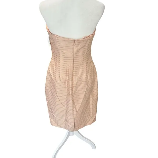 Kay Unger NWT Silk Strapless Ruched Blush Pinstripe Cocktail Dress Size 6 - Image 5