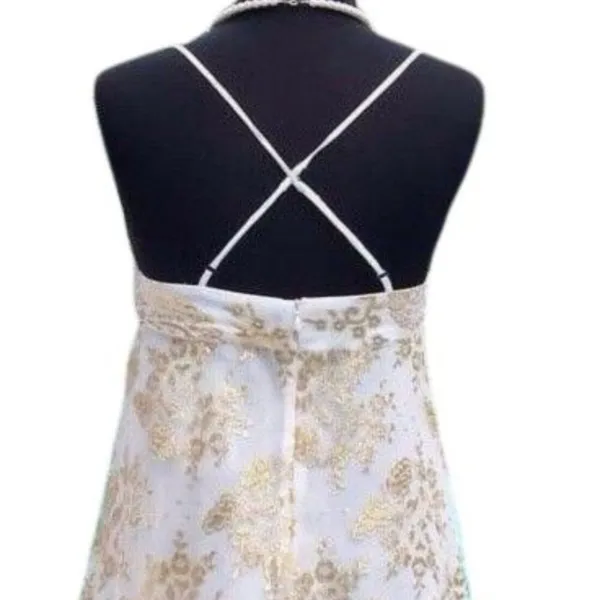 Cache Gold Metallic Silk Sheer Illusion Lace Top Dress Fit Flare New NWT $158 6 - Image 9