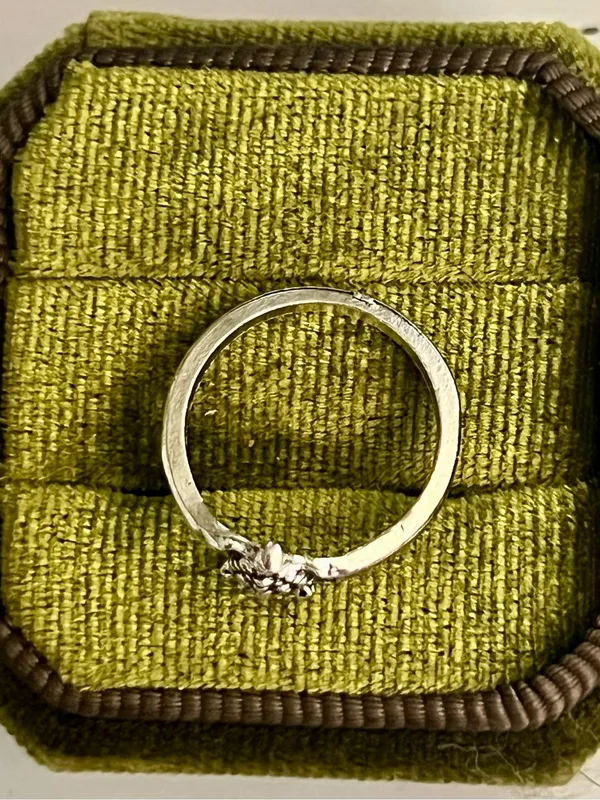 Boho Design Silver Turtle Stainless Steel Band Size 6 - Image 3