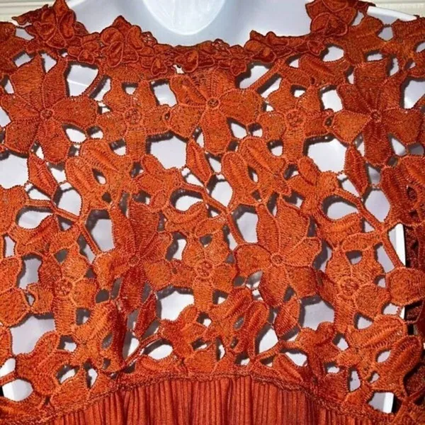EXPRESS Dark Pumpkin Lace Embroidered Trim Belled‎ Sleeve Blouse M - Image 8