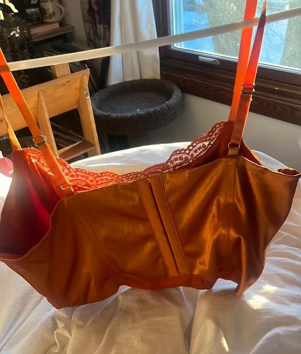 Forever 21 silk orange corset top - Image 3
