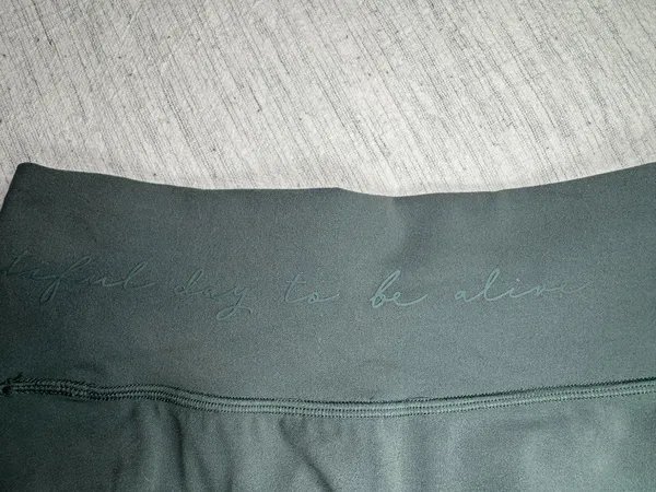 Gymshark x Whitney Simmons Bike Shorts - Image 6
